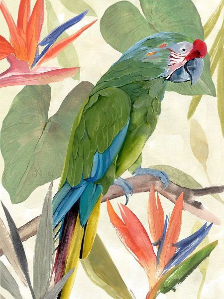 Warren, Annie 아티스트의 Tropical Parrot Composition I 작품