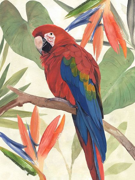 Warren, Annie 아티스트의 Tropical Parrot Composition II 작품