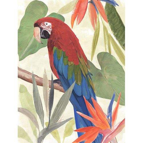 Warren, Annie 아티스트의 Tropical Parrot Composition III 작품