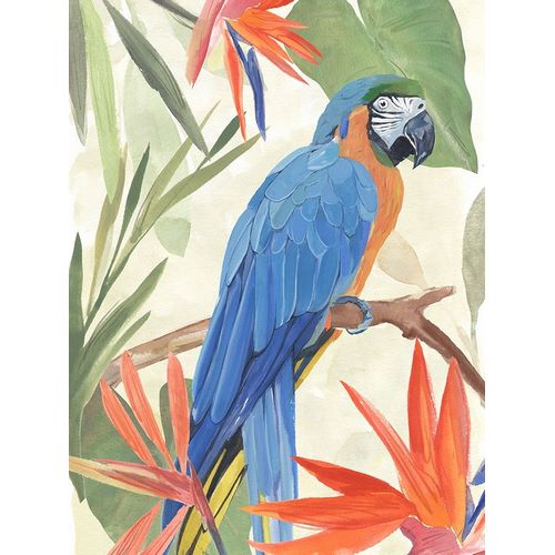 Warren, Annie 아티스트의 Tropical Parrot Composition IV 작품