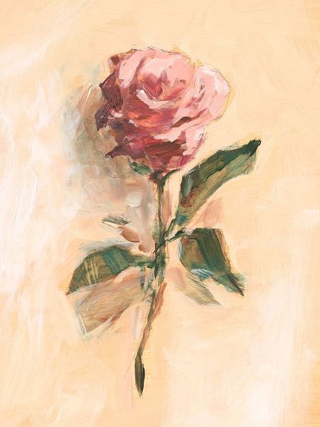 Harper, Ethan 아티스트의 Painterly Rose Study II 작품