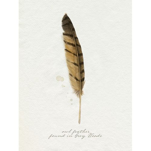 Popp, Grace 아티스트의 Found Feather III 작품