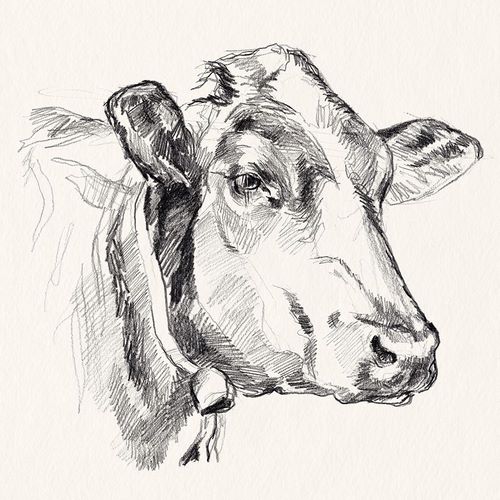 Parker, Jennifer Paxton 아티스트의 Holstein Portrait Sketch I 작품