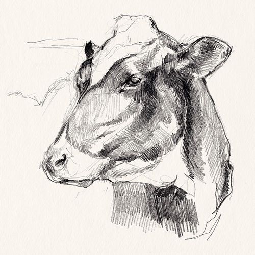 Parker, Jennifer Paxton 아티스트의 Holstein Portrait Sketch II 작품