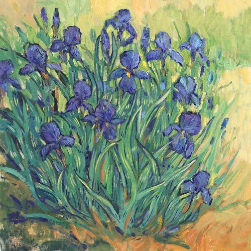 OToole, Tim 아티스트의 Irises in Bloom II 작품