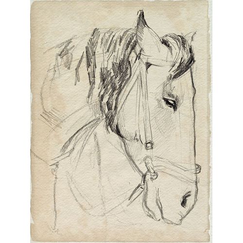 Parker, Jennifer Paxton 아티스트의 Horse in Bridle Sketch I 작품