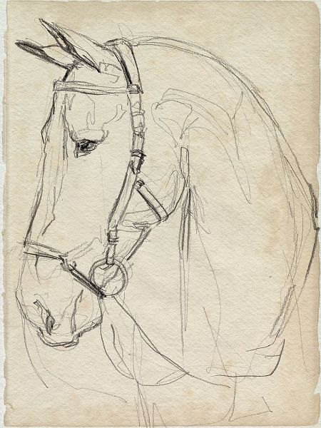 Parker, Jennifer Paxton 아티스트의 Horse in Bridle Sketch II 작품
