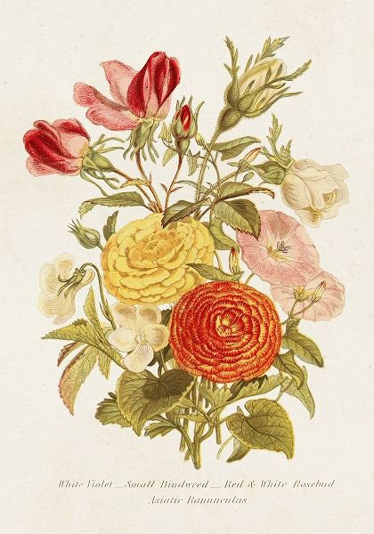 Unknown 아티스트의 Antique Floral Bouquet I 작품