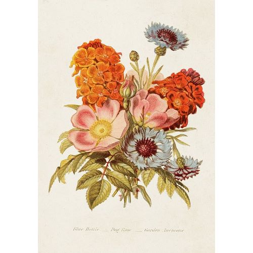 Unknown 아티스트의 Antique Floral Bouquet II 작품