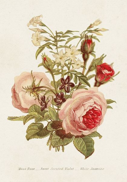 Unknown 아티스트의 Antique Floral Bouquet III 작품