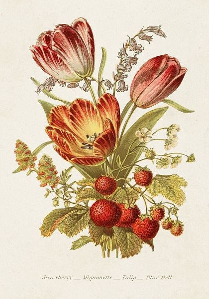 Unknown 아티스트의 Antique Floral Bouquet IV 작품