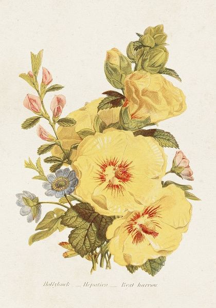 Unknown 아티스트의 Antique Floral Bouquet VI 작품