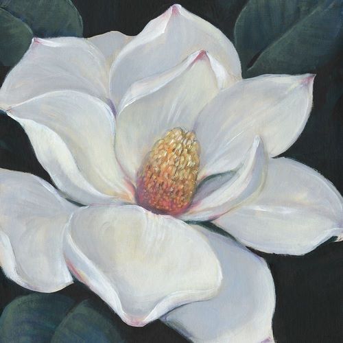 OToole, Tim 아티스트의 Blooming Magnolia II 작품