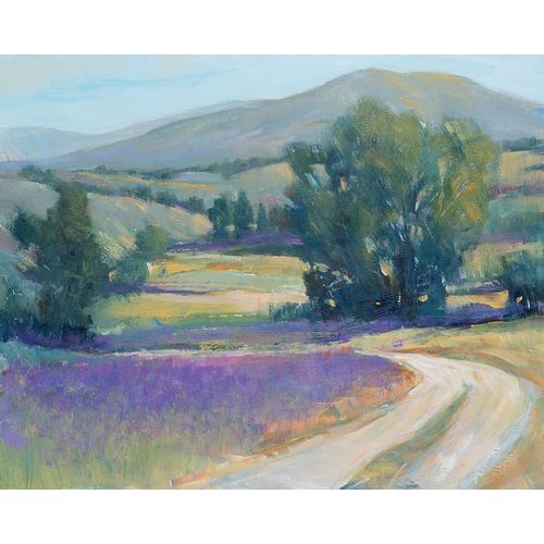 OToole, Tim 아티스트의 Lavender Meadow I 작품