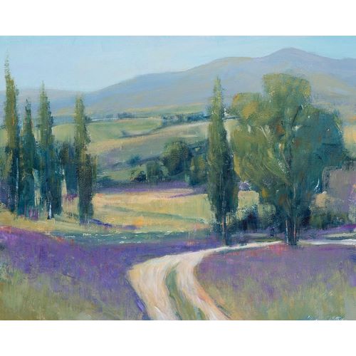 OToole, Tim 아티스트의 Lavender Meadow II 작품