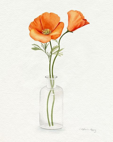 Popp, Grace 아티스트의 California Poppy Vase II 작품