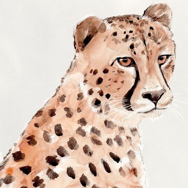 Warren, Annie 아티스트의 Saharan Cheetah II 작품