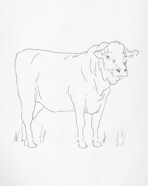 Green, Jacob 아티스트의 Limousin Cattle I 작품