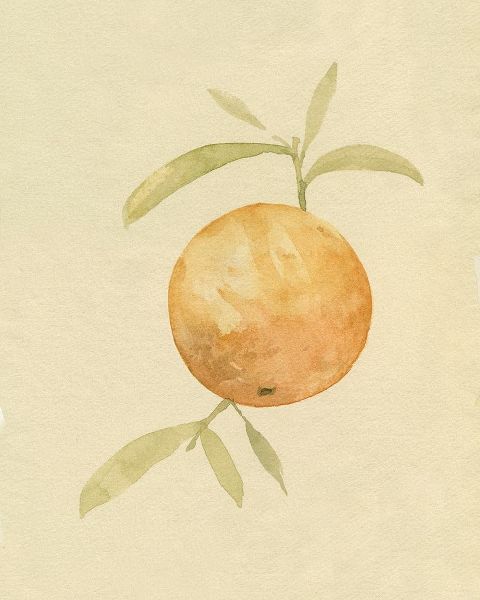 Caroline, Emma 아티스트의 Dappled Oranges III 작품
