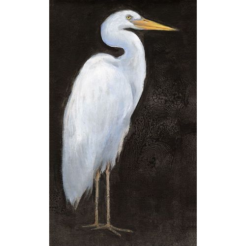 OToole, Tim 아티스트의 White Heron Portrait I 작품