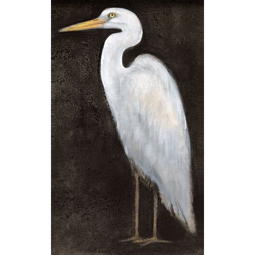 OToole, Tim 아티스트의 White Heron Portrait II 작품