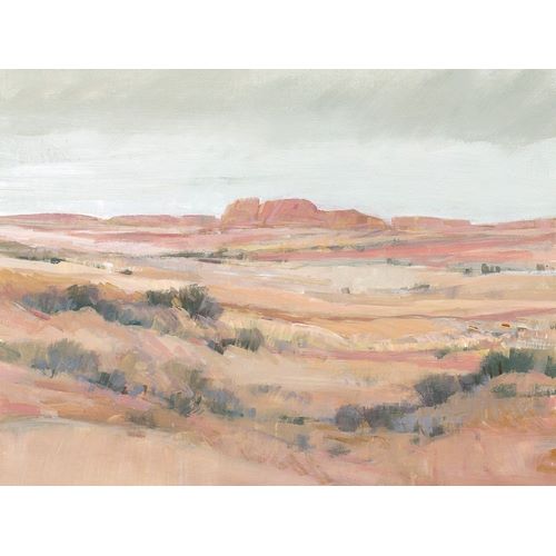 OToole, Tim 아티스트의 Southwest Landscape II 작품