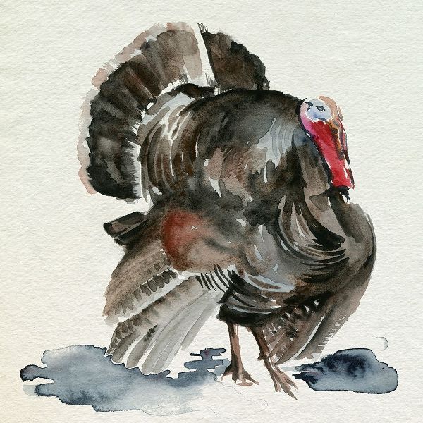 Parker, Jennifer Paxton 아티스트의 Watercolor Turkey I 작품