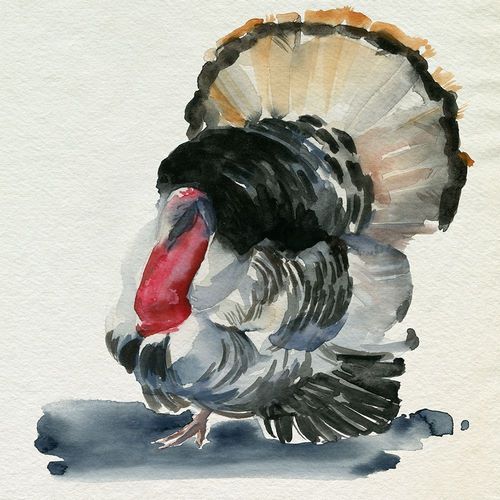 Parker, Jennifer Paxton 아티스트의 Watercolor Turkey II 작품
