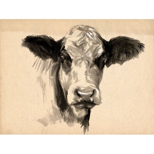 Parker, Jennifer Paxton 아티스트의 Charcoal Cow II 작품