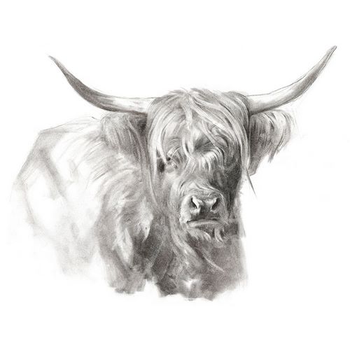 Parker, Jennifer Paxton 아티스트의 Soft Focus Highland Cattle I 작품