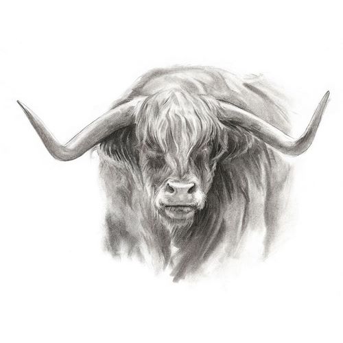 Parker, Jennifer Paxton 아티스트의 Soft Focus Highland Cattle II 작품