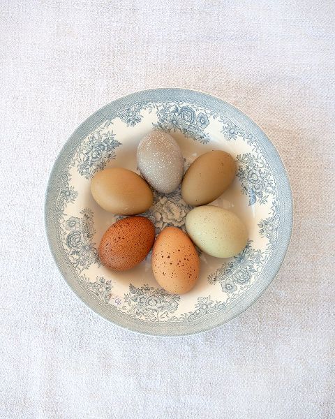 Soderman, Tania 작가의 Rainbow Eggs on Blue Plate 작품