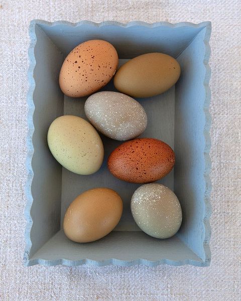 Soderman, Tania 작가의 Rainbow Eggs in Blue Box 작품