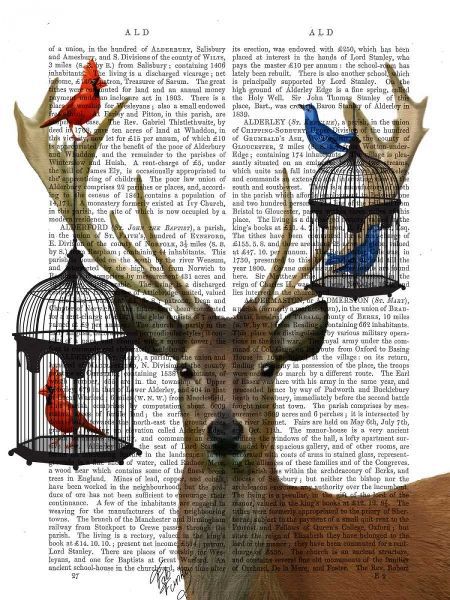 Deer and Bird Cages