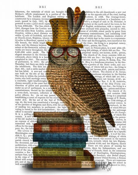 Owl On Books