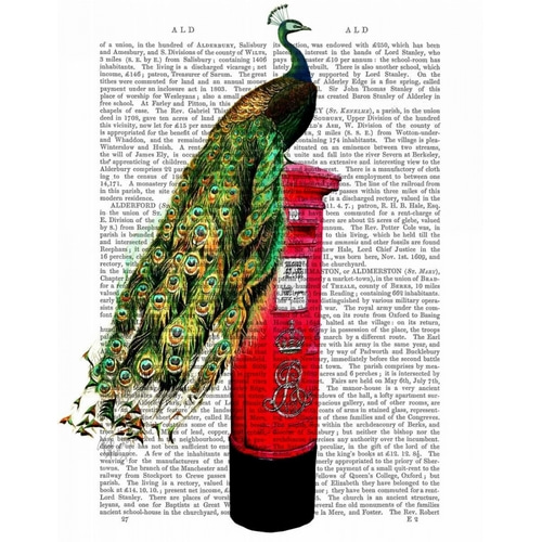Peacock on Postbox
