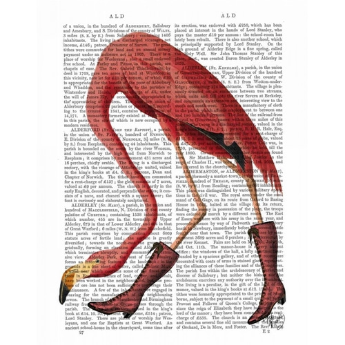 Flamingo in Pink Boots