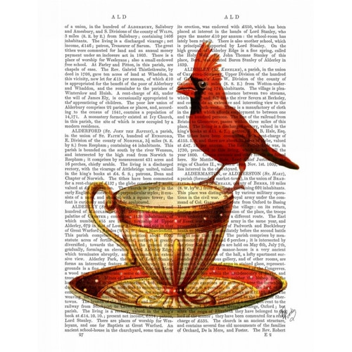 Teacup And Red Cardinal