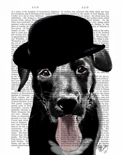 Black Labrador in Bowler Hat