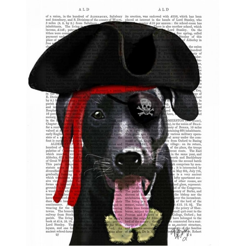 Black Labrador Pirate