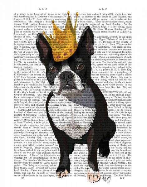 Boston Terrier And Crown