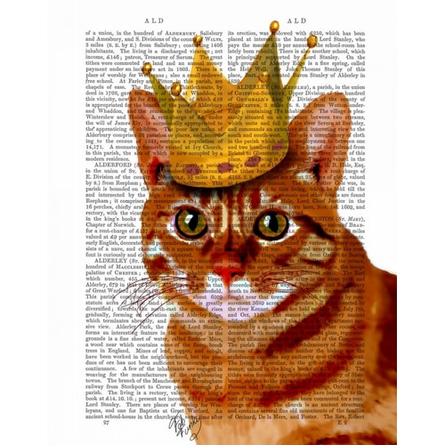 Ginger Cat with Crown Portrai