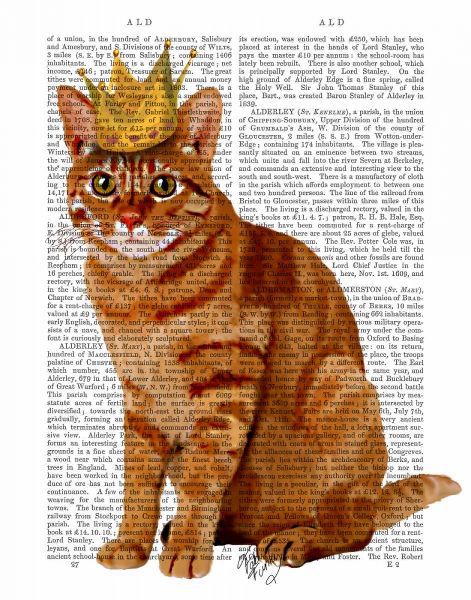 Ginger Cat with Crown Full