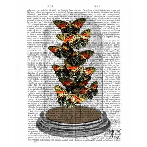 Multicoloured Butterflies in Bell Jar