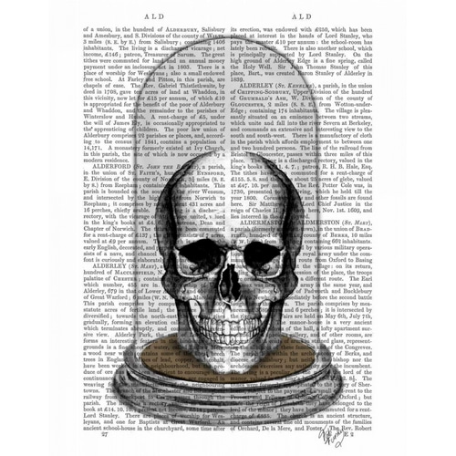 Skull In Bell Jar