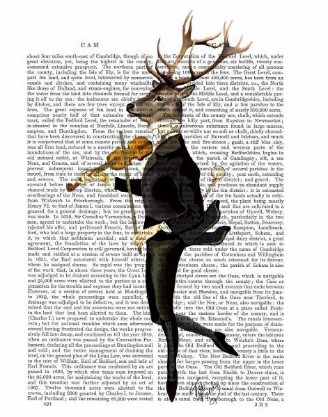 Dancing Deer with Violin
