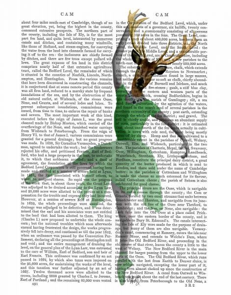 Ballet Deer in Green