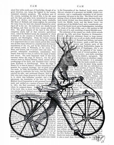 Dandy Deer on Vintage Bicycle