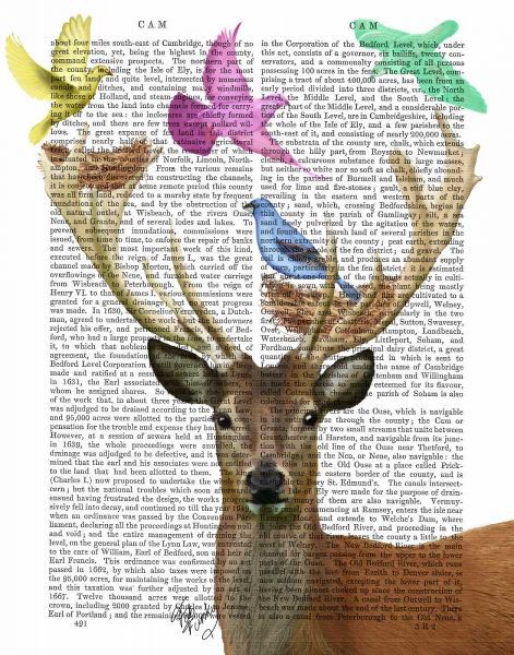 Deer and Birds Nests Pastel Shades