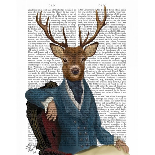 Distinguished Deer Portrait